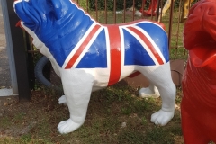 Bulldog inglese - 5
