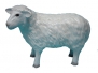 Pecore capre e pastori